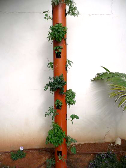 Phú Điền - Chọn ống trồng cây phù hợp với ngôi nhà